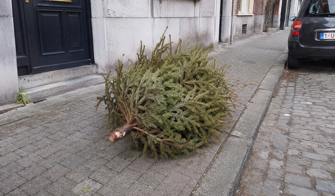 Que faire de son sapin de Noël après les fêtes ?
