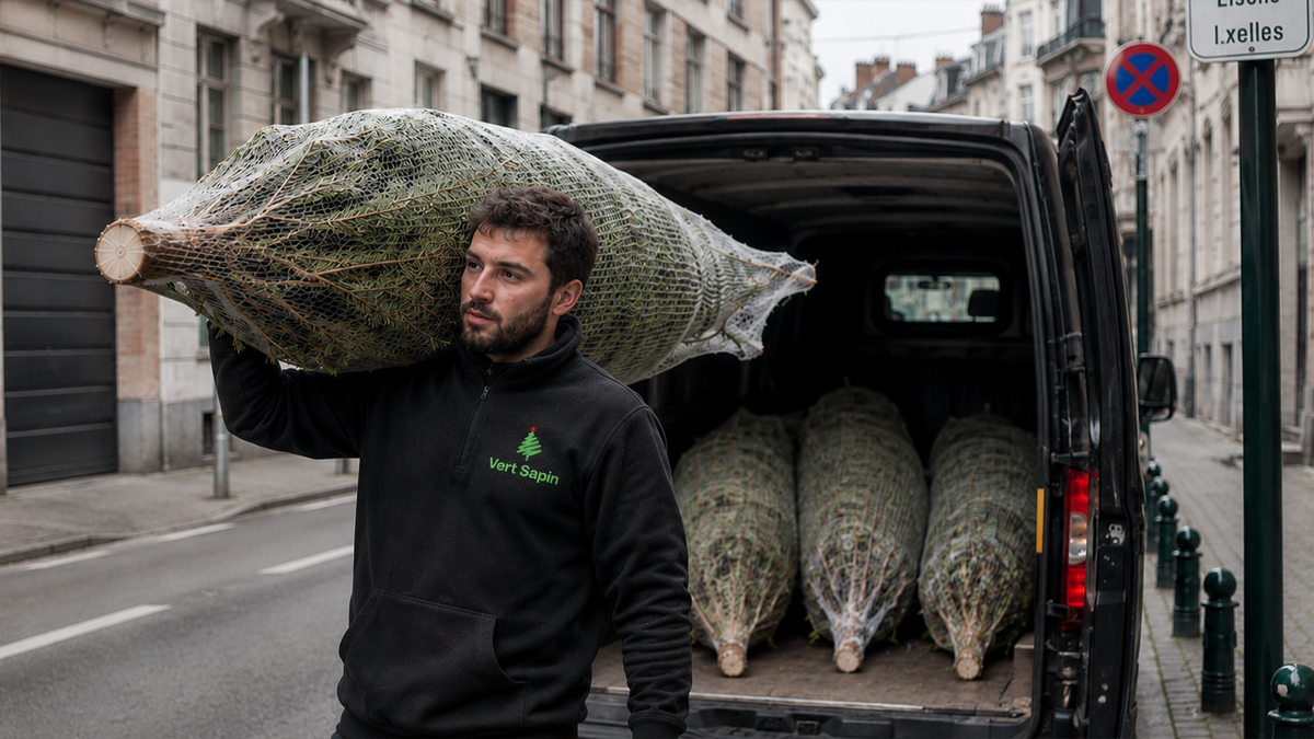 Livraison de sapin de Noël à domicile en Belgique : simple, rapide et sans effort