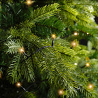 Blanc chaud - Guirlande LED Basic 18 m - 240 led, allumée dans les branches d'un sapin
