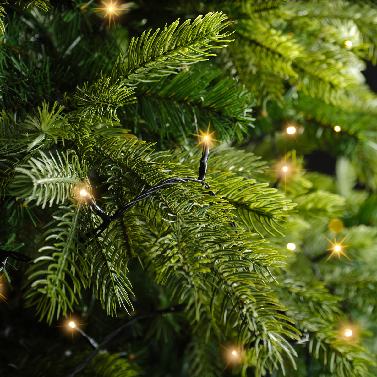 Blanc chaud - Guirlande LED Basic 18 m - 240 led, allumée dans les branches d'un sapin