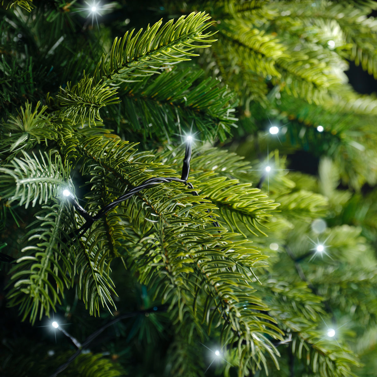 Blanc froid - Guirlande LED Basic 9 m - 120 led, allumée dans les branches d'un sapin