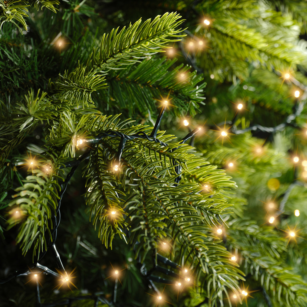 Warm wit - LED-lichtslinger Compact 16 m - 750 leds, brandend tussen de takken van een kerstboom